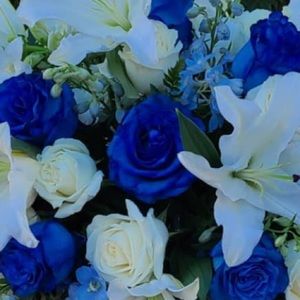 Meet your Posher, Elizabeth